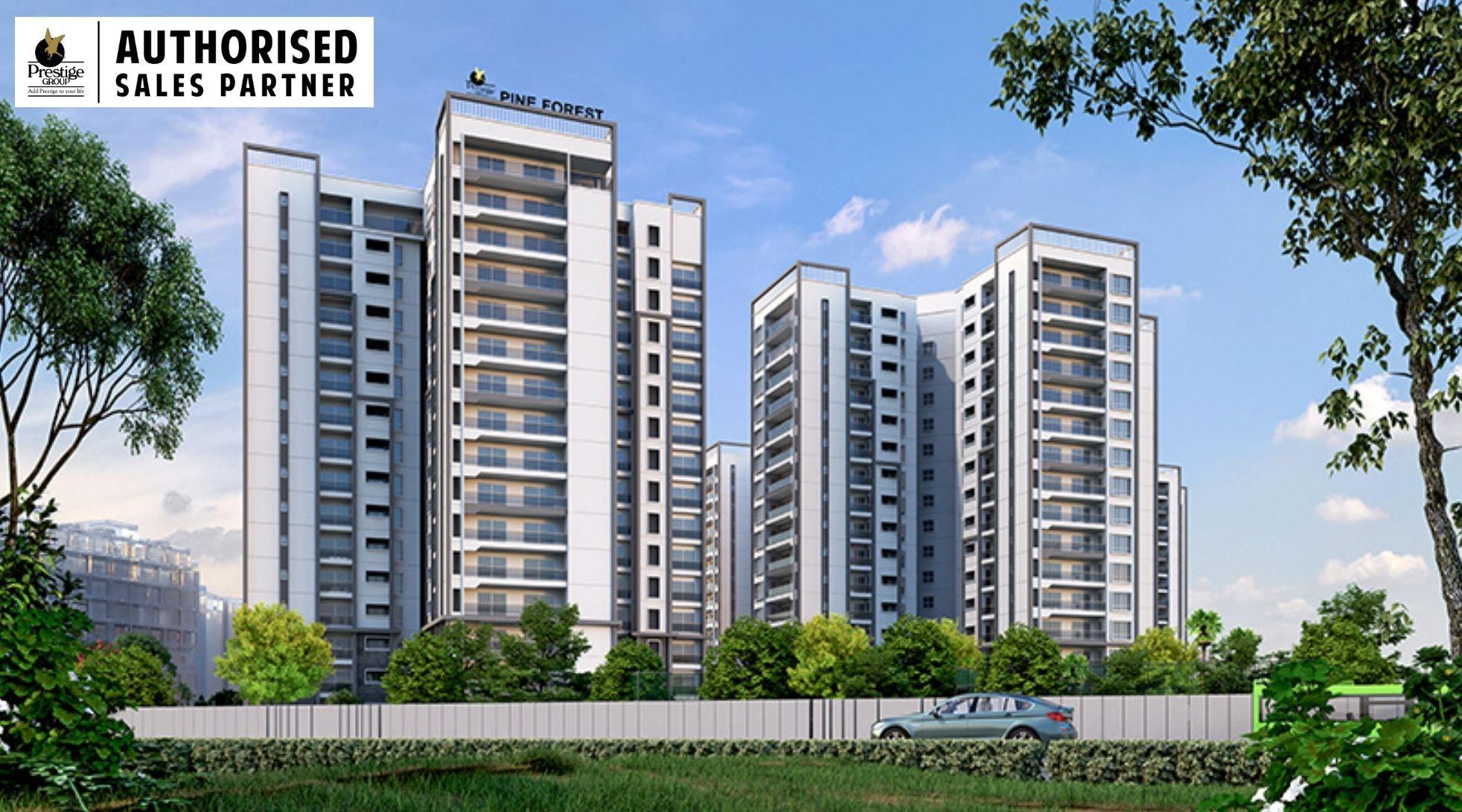 Prestige Pine Forest - 4